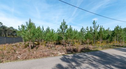 Terrain agricole à Marinha Grande de 19 100 m²