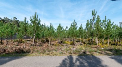 Terrain agricole à Marinha Grande de 19 100 m²