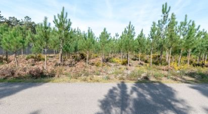 Terrain agricole à Marinha Grande de 19 100 m²