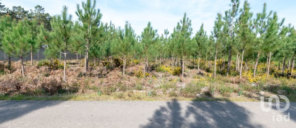 Terreno rústico em Marinha Grande de 19 100 m²