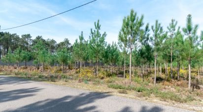 Terrain agricole à Marinha Grande de 19 100 m²