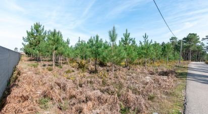 Terrain agricole à Marinha Grande de 19 100 m²