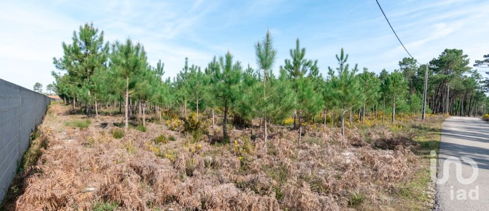 Terreno rústico em Marinha Grande de 19 100 m²