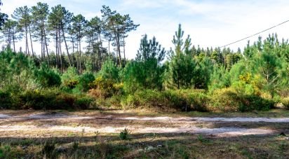 Terrain agricole à Marinha Grande de 9 060 m²