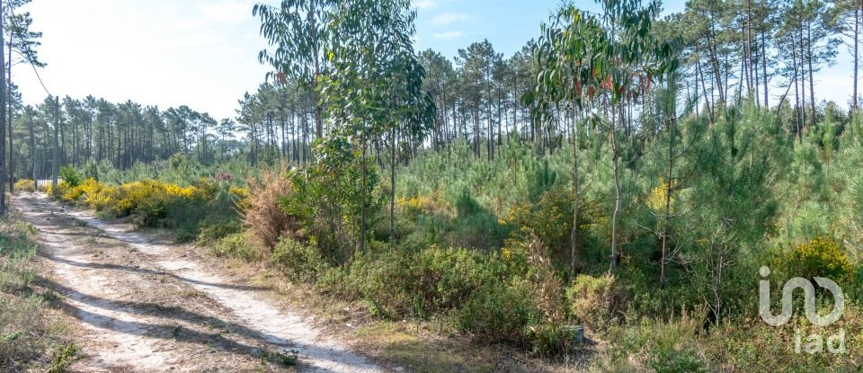 Terreno rústico em Marinha Grande de 9 060 m²
