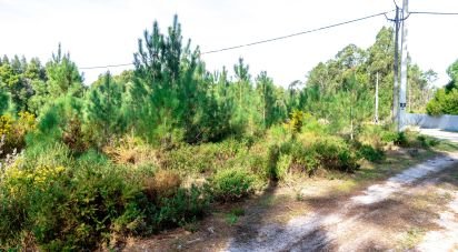 Terrain agricole à Marinha Grande de 9 060 m²