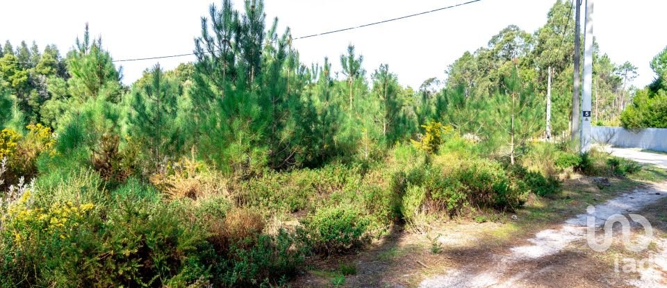 Terreno rústico em Marinha Grande de 9 060 m²