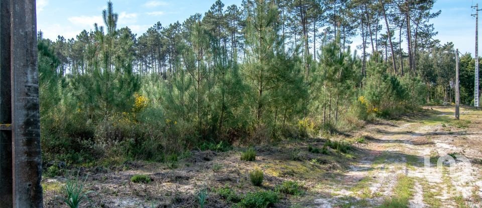 Terreno rústico em Marinha Grande de 9 060 m²