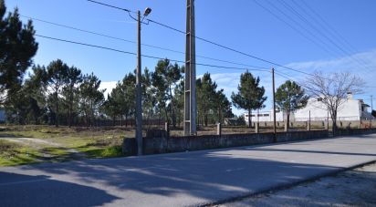 Terrain à bâtir à Marinha Grande de 6 250 m²