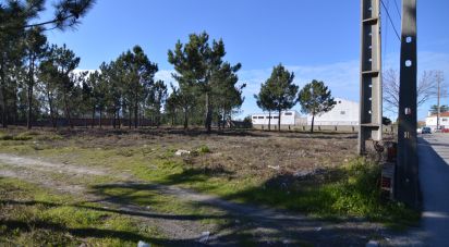 Terrain à bâtir à Marinha Grande de 6 250 m²