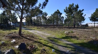 Terrain à bâtir à Marinha Grande de 6 250 m²