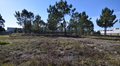 Terrain à bâtir à Marinha Grande de 6 250 m²