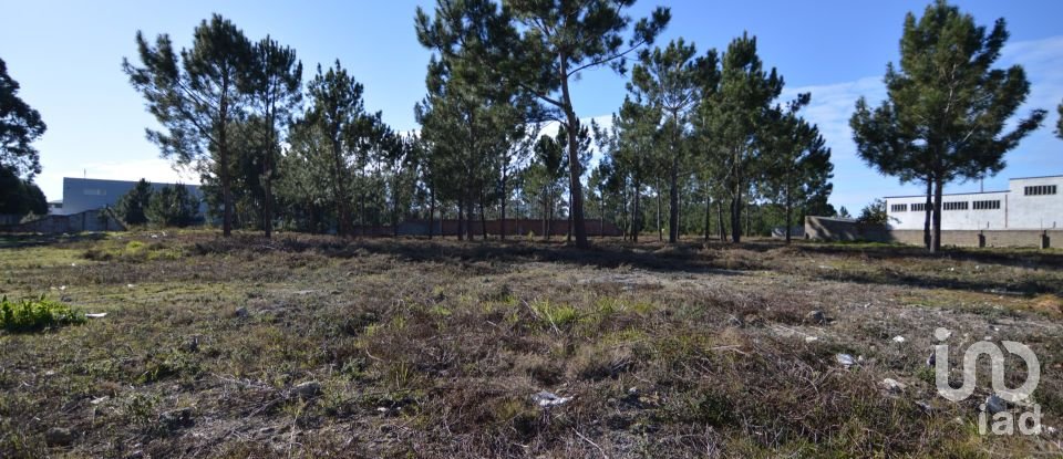 Terreno urbano em Marinha Grande de 6 250 m²