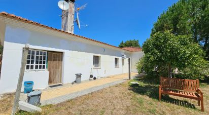 Maison rustique T5 à - de 179 m²