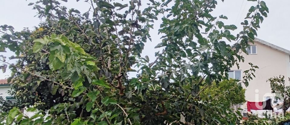 Moradia T4 em Seixas de 250 m²