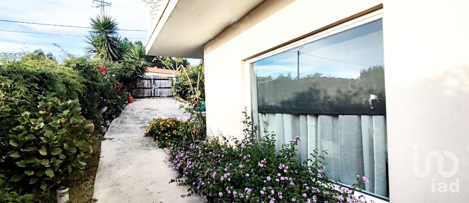 Moradia T4 em Seixas de 250 m²