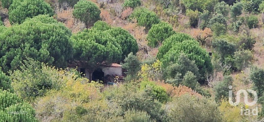 Terreno rústico em Azueira e Sobral da Abelheira de 21 937 m²
