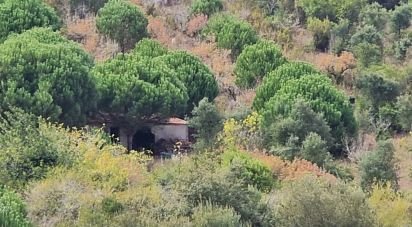 Terrain agricole à Azueira e Sobral da Abelheira de 21 937 m²