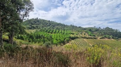 Terrain agricole à Azueira e Sobral da Abelheira de 21 937 m²