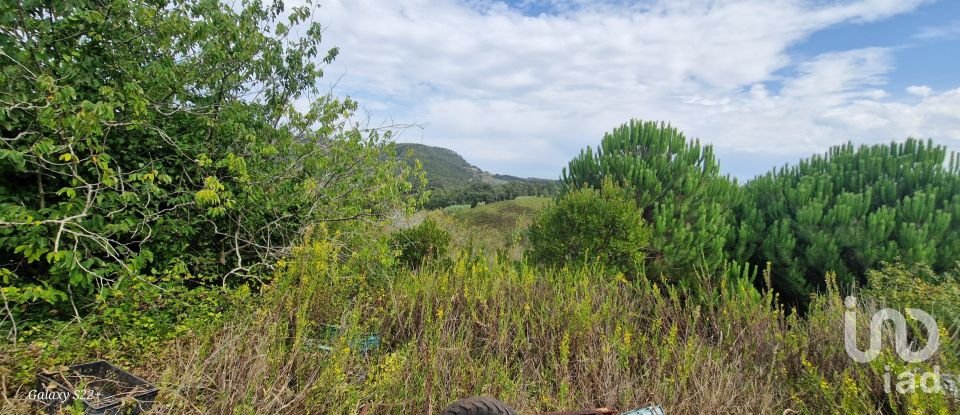 Terreno rústico em Azueira e Sobral da Abelheira de 21 937 m²