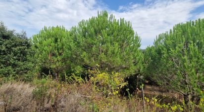 Terrain agricole à Azueira e Sobral da Abelheira de 21 937 m²