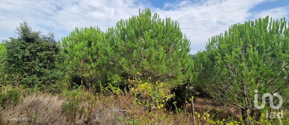 Terreno rústico em Azueira e Sobral da Abelheira de 21 937 m²