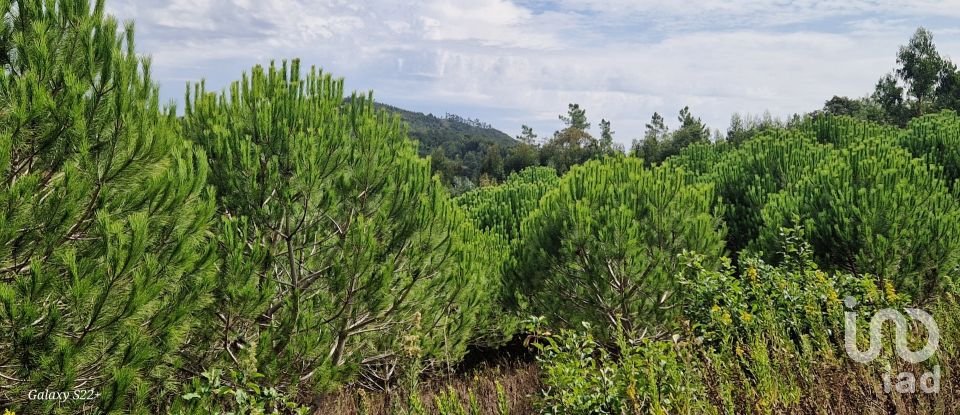 Terreno rústico em Azueira e Sobral da Abelheira de 21 937 m²