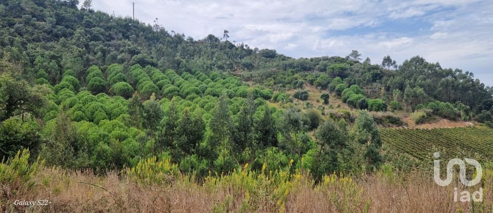 Terreno rústico em Azueira e Sobral da Abelheira de 21 937 m²