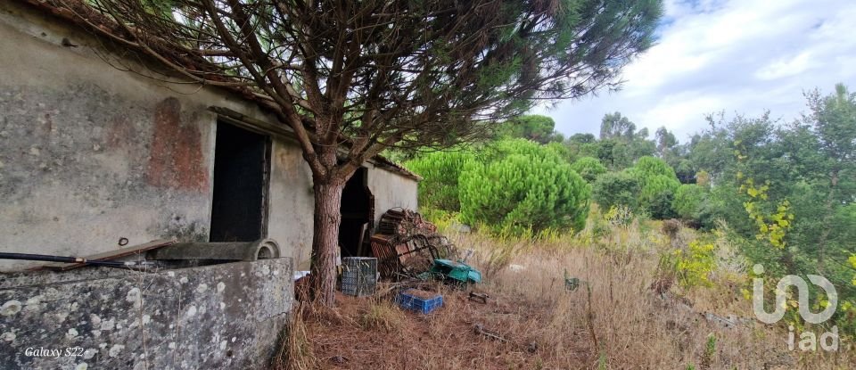 Terreno rústico em Azueira e Sobral da Abelheira de 21 937 m²