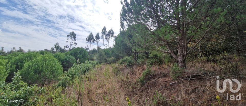 Terreno rústico em Azueira e Sobral da Abelheira de 21 937 m²