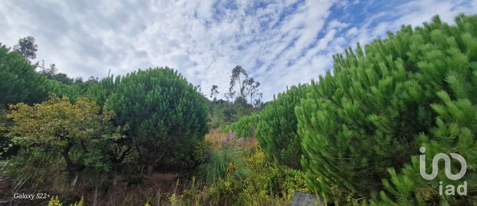 Terreno rústico em Azueira e Sobral da Abelheira de 21 937 m²