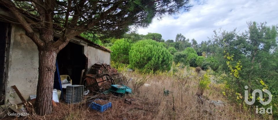 Terreno rústico em Azueira e Sobral da Abelheira de 21 937 m²