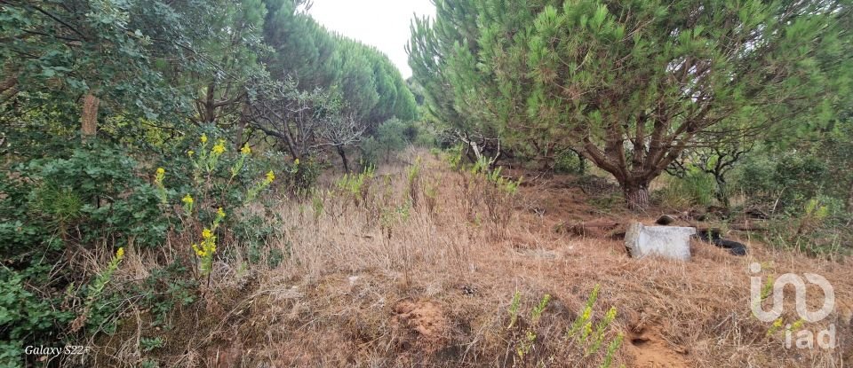 Terreno rústico em Azueira e Sobral da Abelheira de 21 937 m²