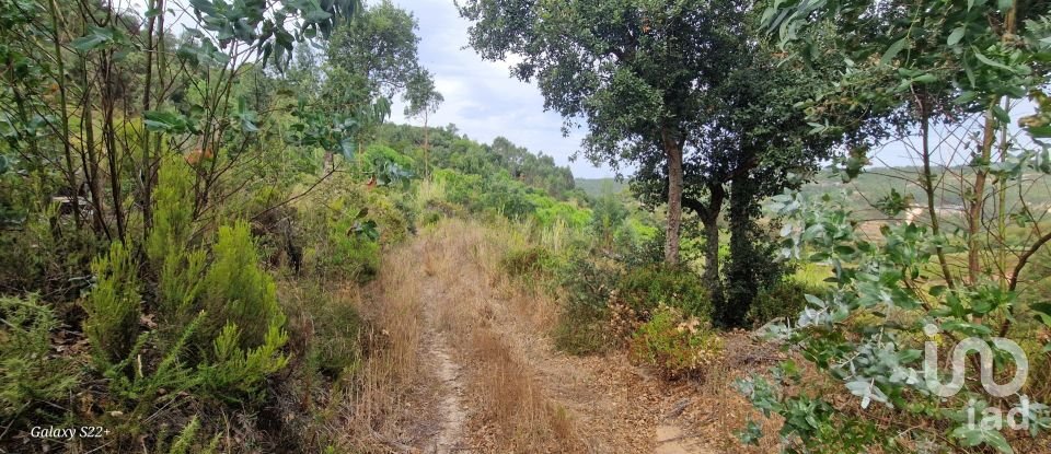 Terreno rústico em Azueira e Sobral da Abelheira de 21 937 m²