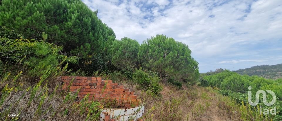 Terreno rústico em Azueira e Sobral da Abelheira de 21 937 m²
