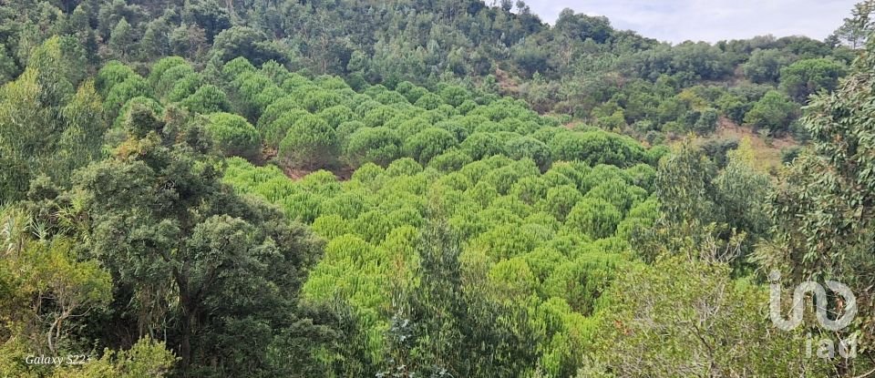 Terreno rústico em Azueira e Sobral da Abelheira de 21 937 m²