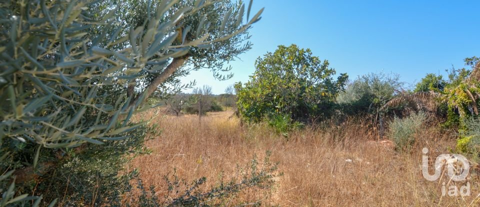 Moradia térrea T4 em Lagoa e Carvoeiro de 150 m²