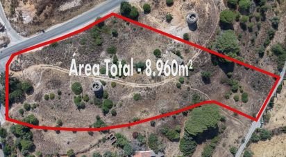 Terrain mixte à Ferreiras de 8 960 m²