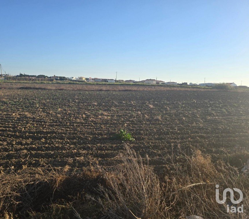 Terreno rústico em Atouguia da Baleia de 2 000 m²