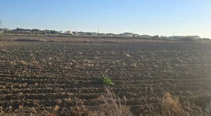 Terrain agricole à Atouguia da Baleia de 2 000 m²