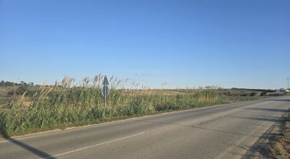 Terrain agricole à Atouguia da Baleia de 2 000 m²