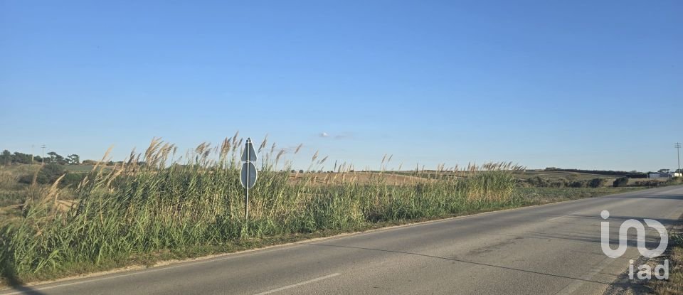 Terreno rústico em Atouguia da Baleia de 2 000 m²