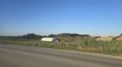 Terrain agricole à Atouguia da Baleia de 2 000 m²
