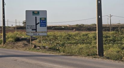 Terrain agricole à Atouguia da Baleia de 2 000 m²
