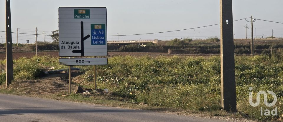 Terreno rústico em Atouguia da Baleia de 2 000 m²