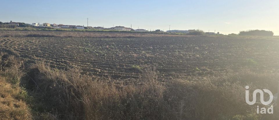 Terreno rústico em Atouguia da Baleia de 2 000 m²