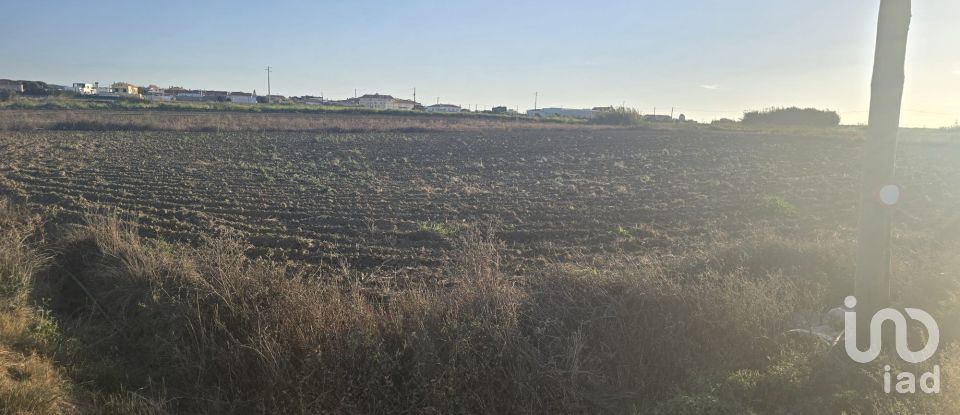 Terreno rústico em Atouguia da Baleia de 2 000 m²