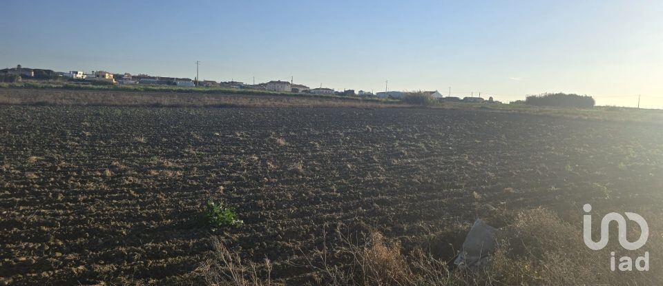 Terreno rústico em Atouguia da Baleia de 2 000 m²