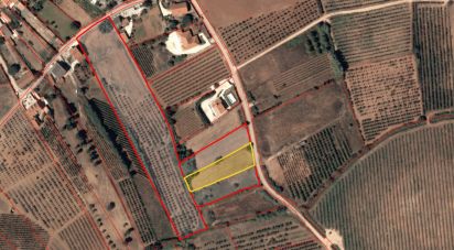 Terrain agricole à Santa Comba Dão e Couto do Mosteiro de 1 600 m²