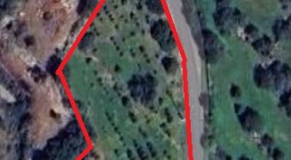 Terrain agricole à Conceição e Estoi de 3 840 m²